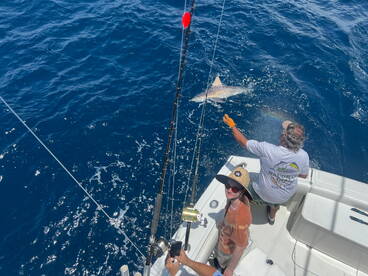 Pompano Beach Report Photo 1