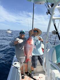 Brevard County Report Photo 4