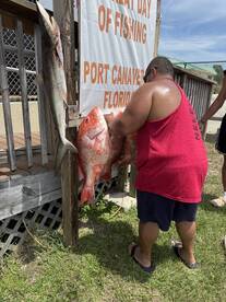 Brevard County Report Photo 2