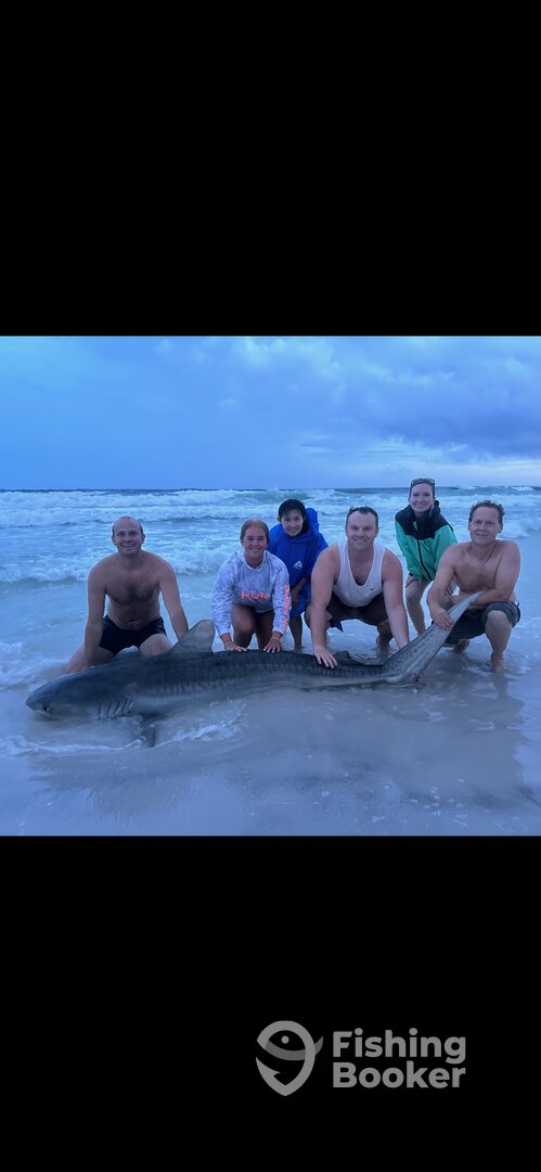 Gulf of Mexico Report Photo 0