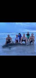 Emerald Coast Report Photo 1