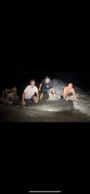 Gulf of Mexico Report Photo 2