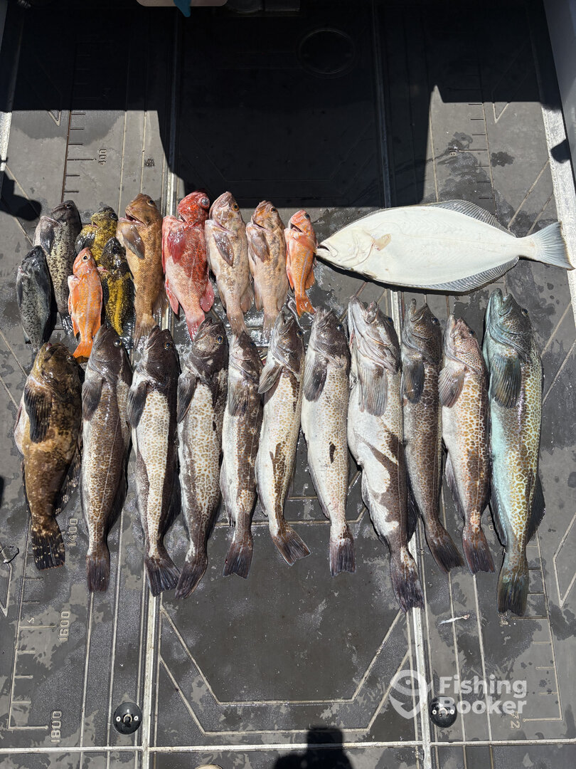 Santa Cruz Report Photo 0