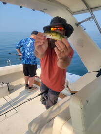 St. Clair Shores Report Photo 4