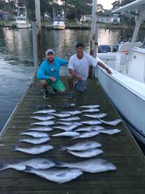 Virginia Beach Report Photo 2