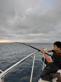 200+ LB Tuna!