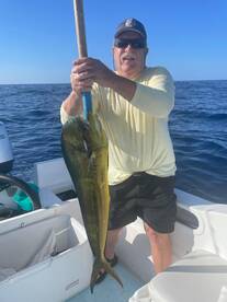 San Jose del Cabo Report Photo 2