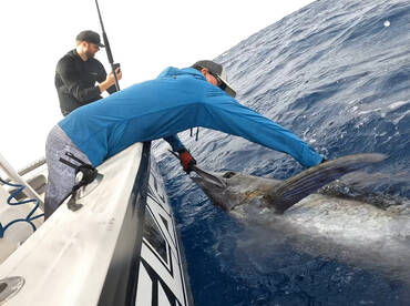 Marlin! - July 5th, 2025