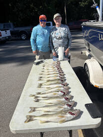 Saginaw Bay walleye trolling