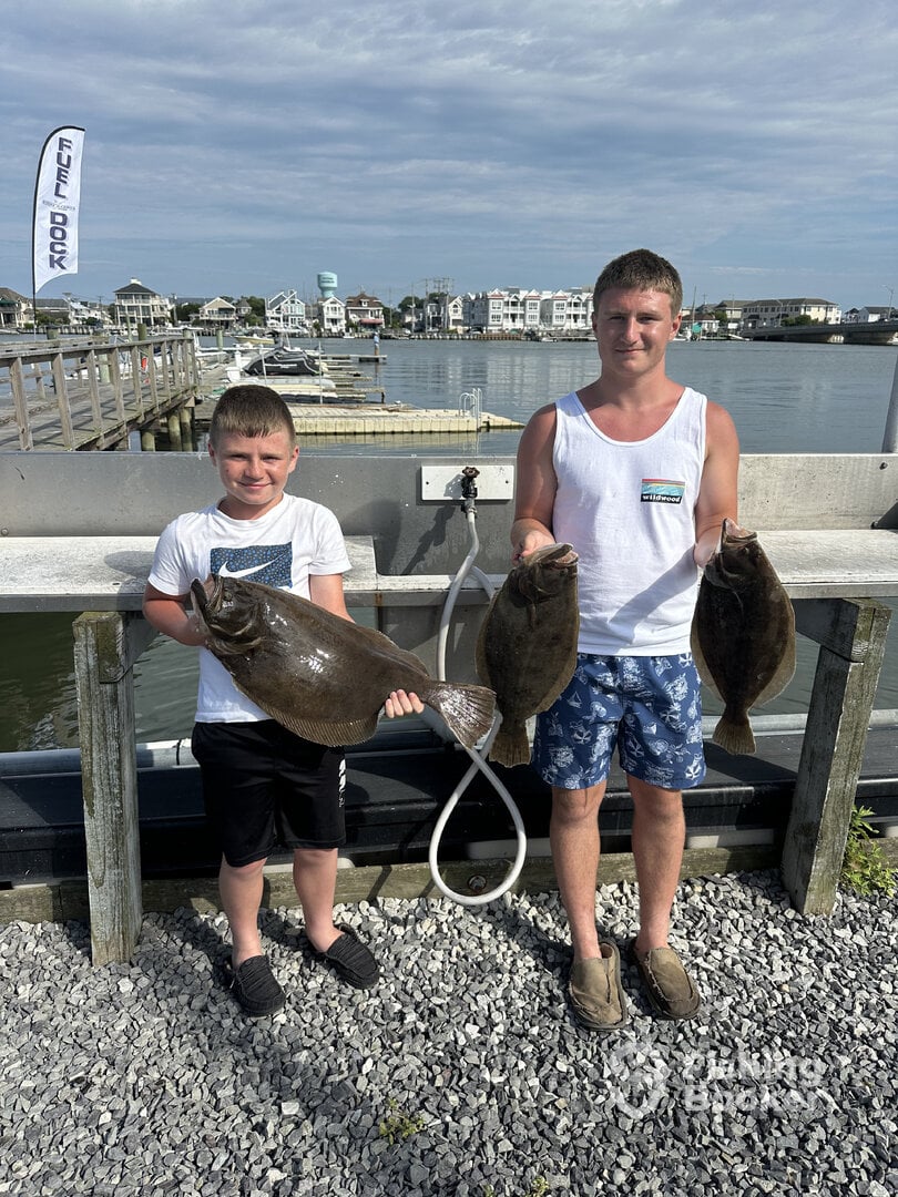 Stone Harbor Report Photo 0