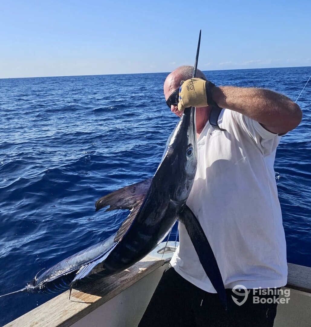 Calheta Report Photo 0