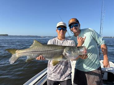 This 35 inch Snook ate a live mullet.