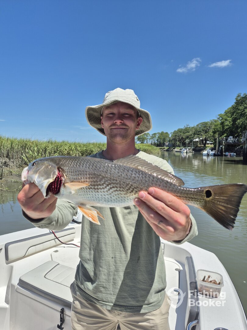 Hilton Head Island Report Photo 0