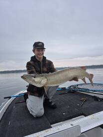 BIG FISH!