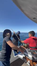 Faro Report Photo 2