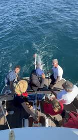 Algarve Report Photo 1