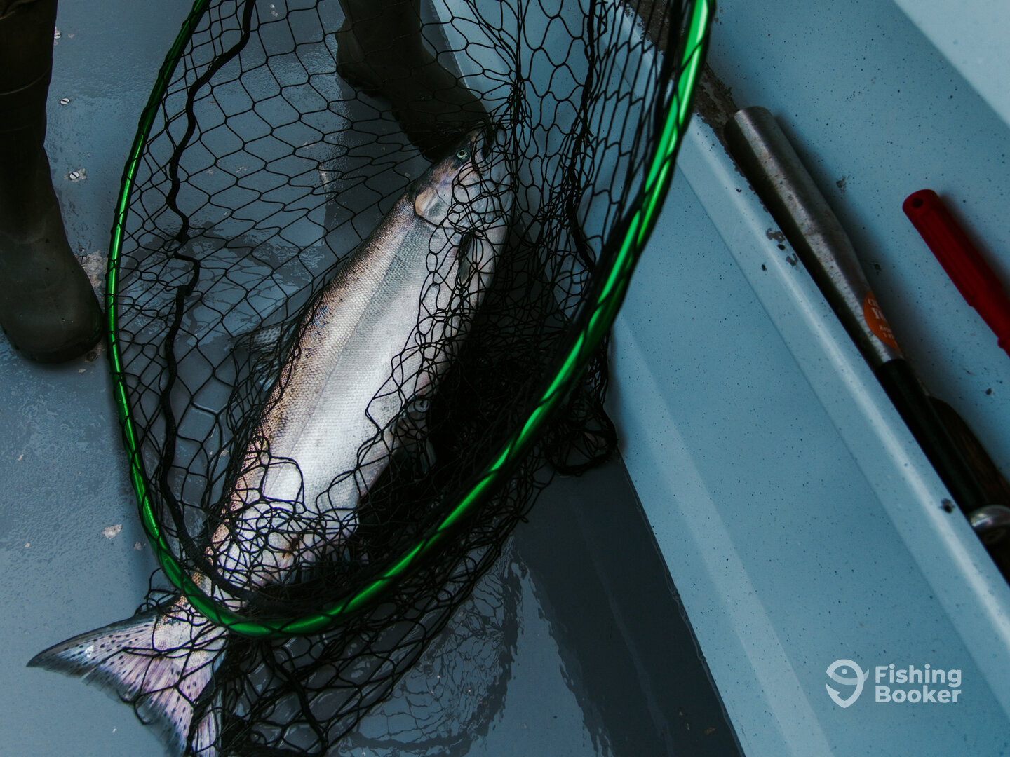 Vancouver Island Report Photo 0