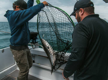 Vancouver Island Report Photo 1