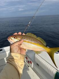 New Smyrna Beach Report Photo 2
