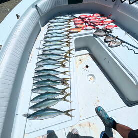 Flagler County Report Photo 2