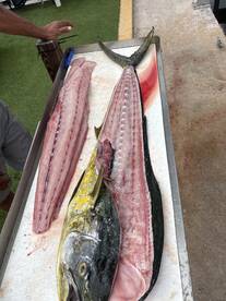 Gulf of Mexico Report Photo 1
