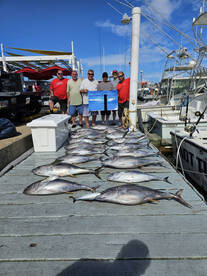Tuna limits! 