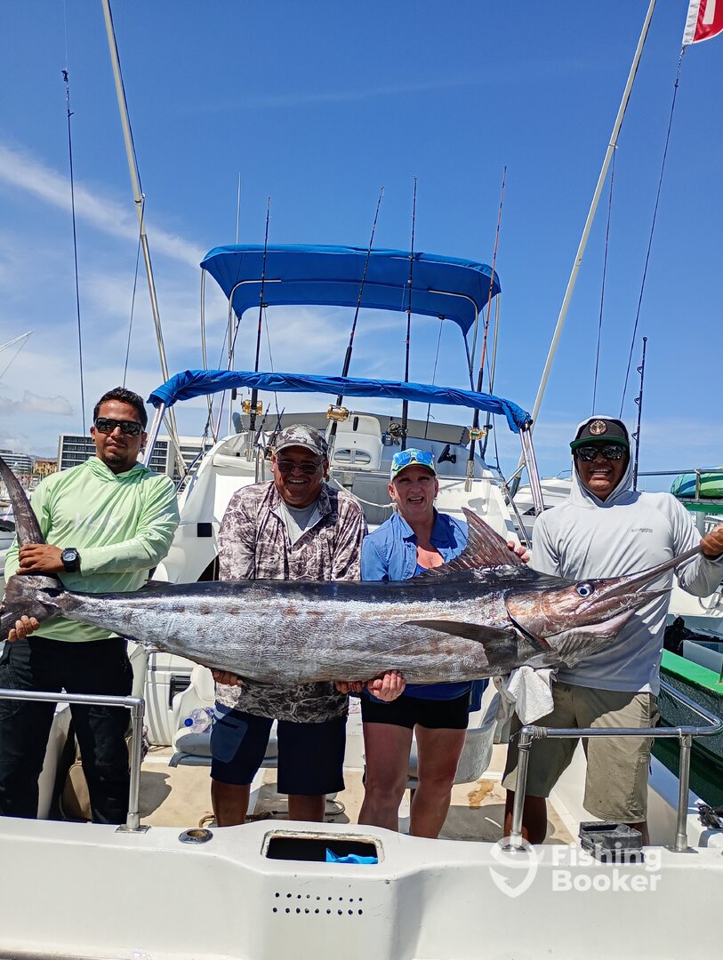 Cabo San Lucas Report Photo 0