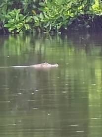 San Juan Report Photo 2