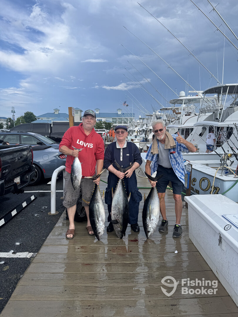 Ocean City Report Photo 0