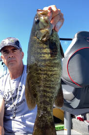 Beautiful colored Smallies !! Sizable ch