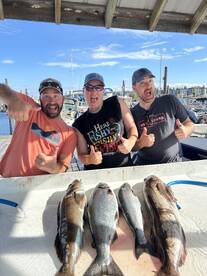 Vancouver Island Report Photo 2