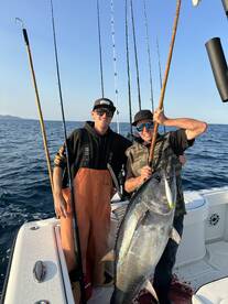Oceanside Report Photo 1