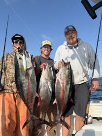 Oceanside Report Photo 2