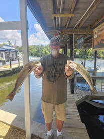 Citrus County Report Photo 4