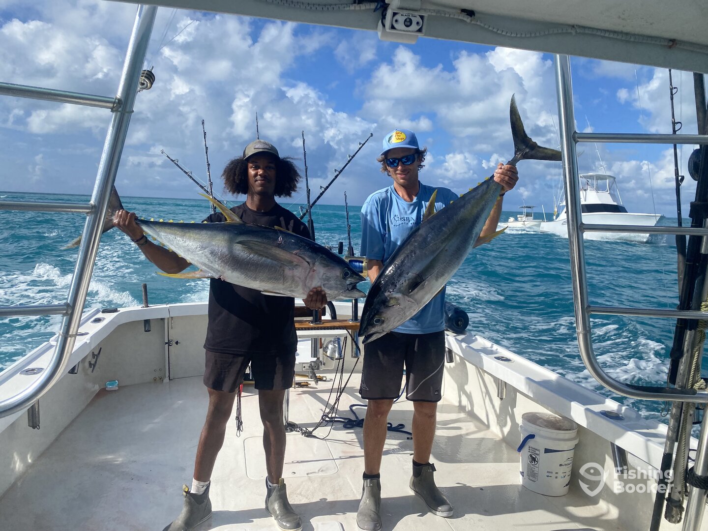 Bermuda Report Photo 0
