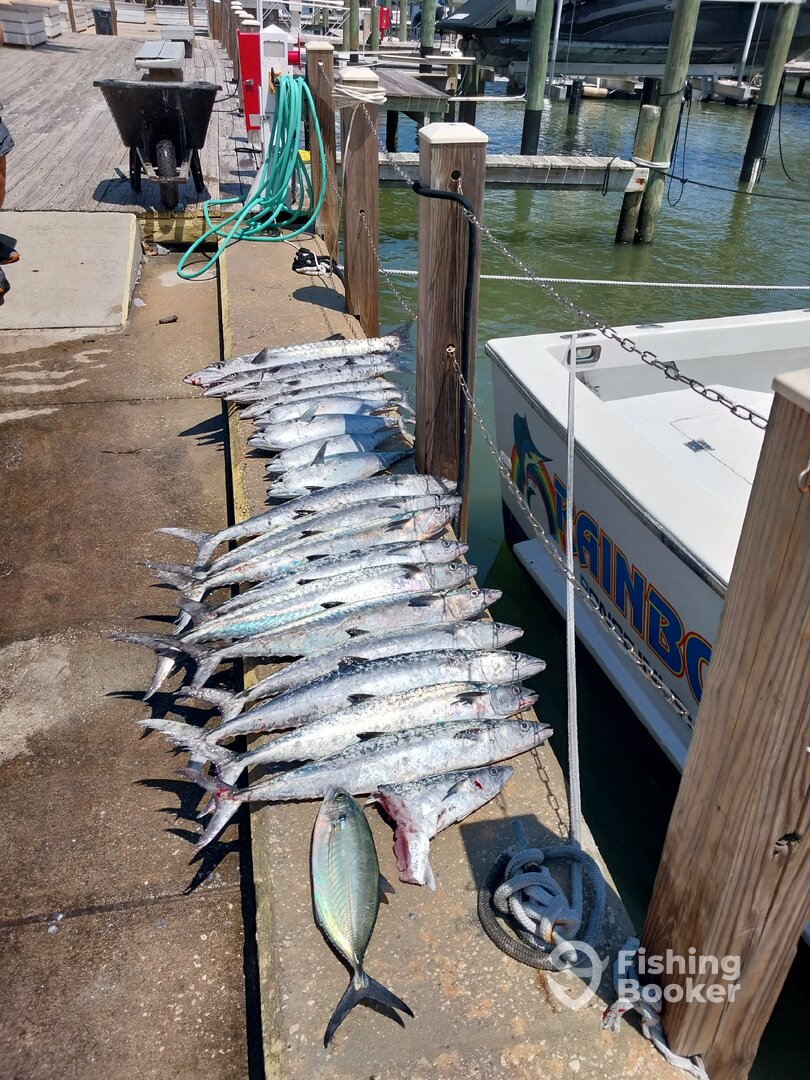 Mosquito Lagoon Report Photo 0