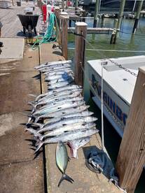 Ponce Inlet Report Photo 2