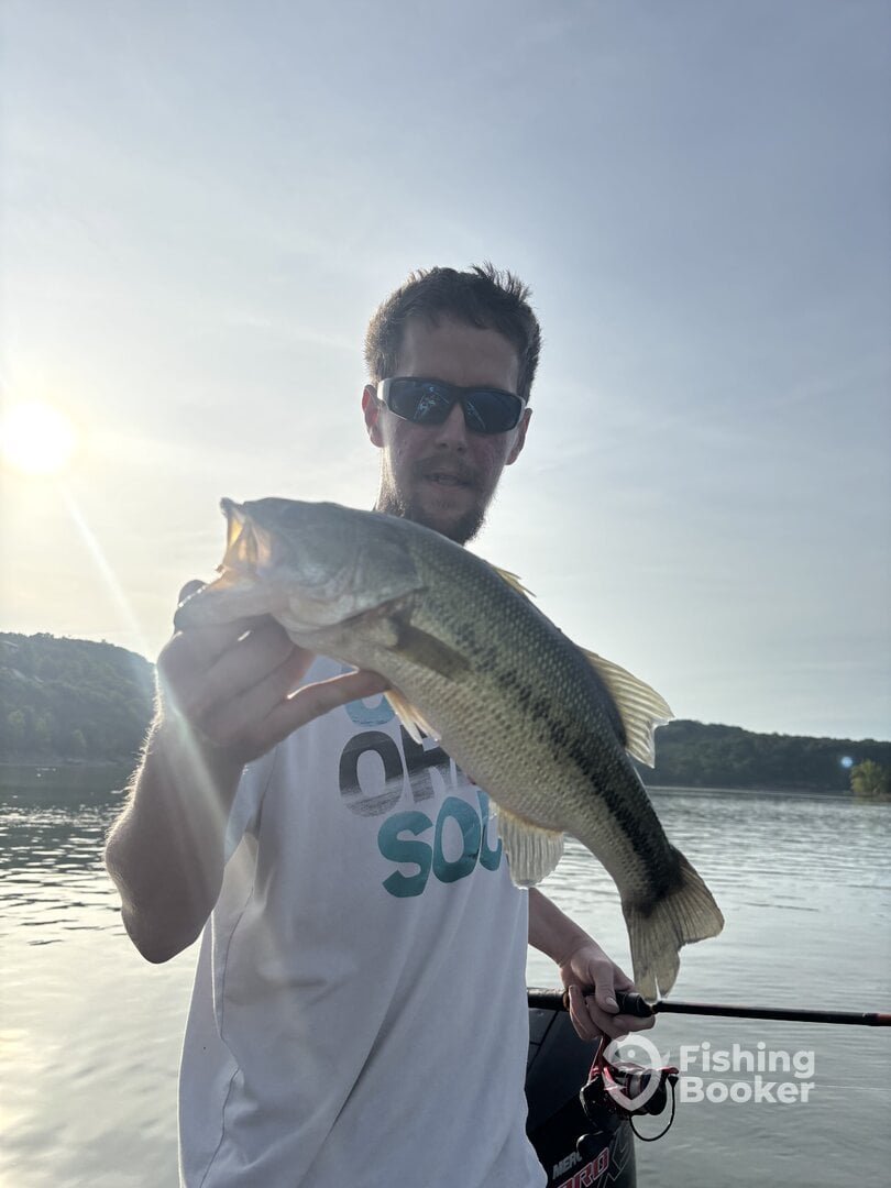 Missouri Report Photo 0