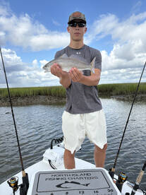 Georgetown Report Photo 2