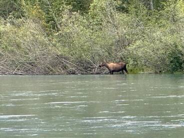 Palmer Report Photo 2