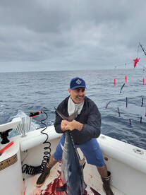 Bluefin Tuna on the Full Day