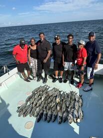 Great afternoon Bluefish bite!