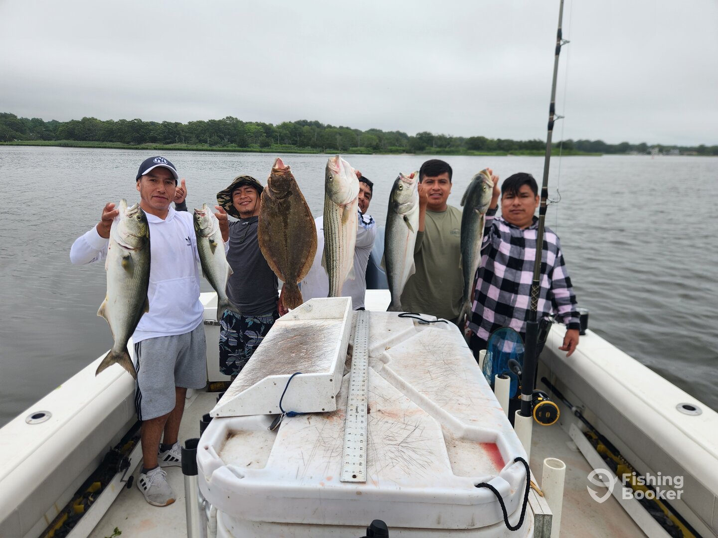 Mastic Report Photo 0