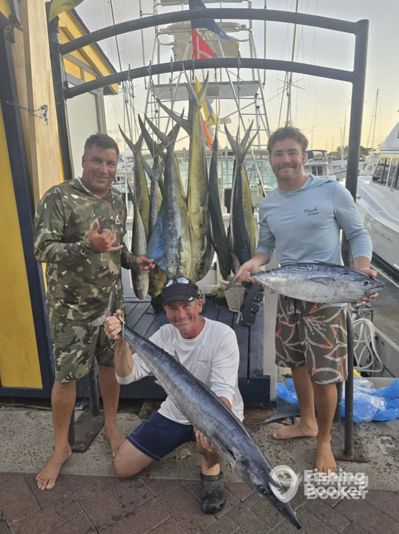 Honolulu Report Photo 0