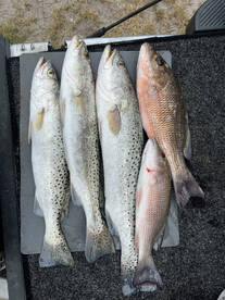 Pinellas County Report Photo 3