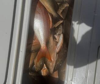 Key West Report Photo 1