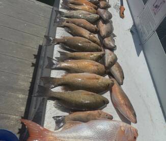 Key West Report Photo 2