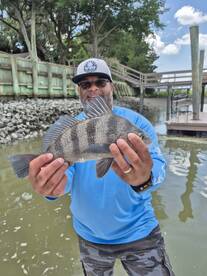 Hilton Head Island Report Photo 1