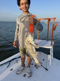 Reel in Excitement: Diverse Catches Awai