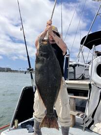 Big Halibut are biting on the half day t